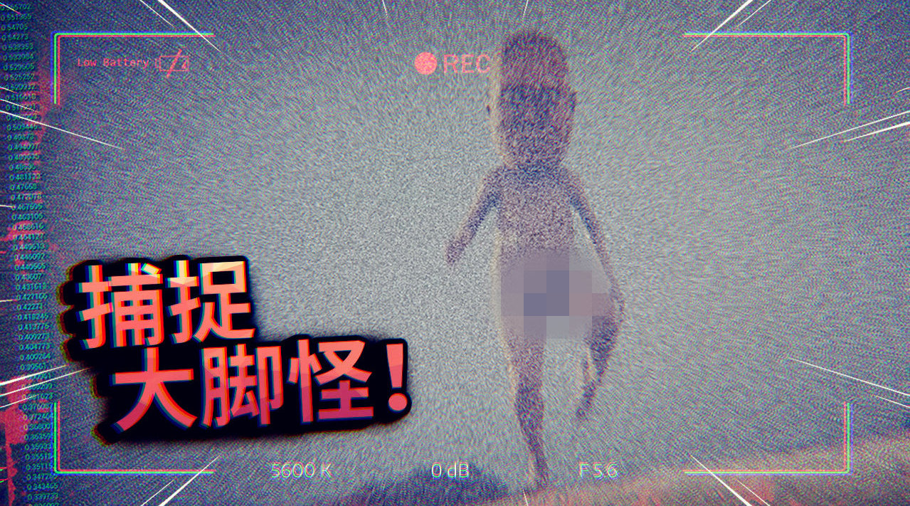 薄海纸鱼 我在雪地上发现大脚怪的踪迹...